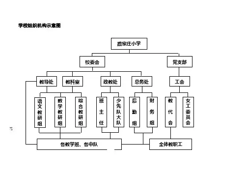 小学学校组织机构示意图