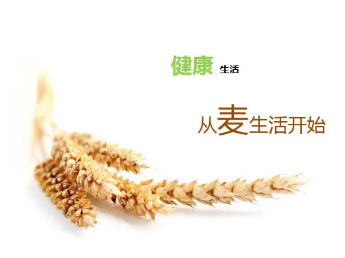 文字准确的图表PPT范本