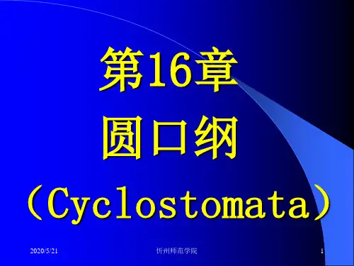 第16章圆口纲郭春燕