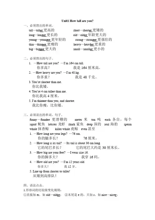六年级英语How tall are you教案