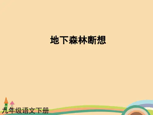 九年级语文地下森林断想PPT教学课件 (2)