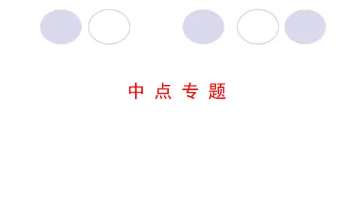 九年级中考复习中点专题