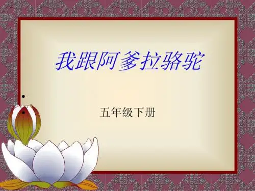 我跟阿爹拉骆驼