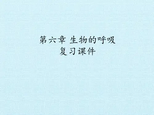 北京版初中初一七年级下册生物:第六章 生物的呼吸 复习课件