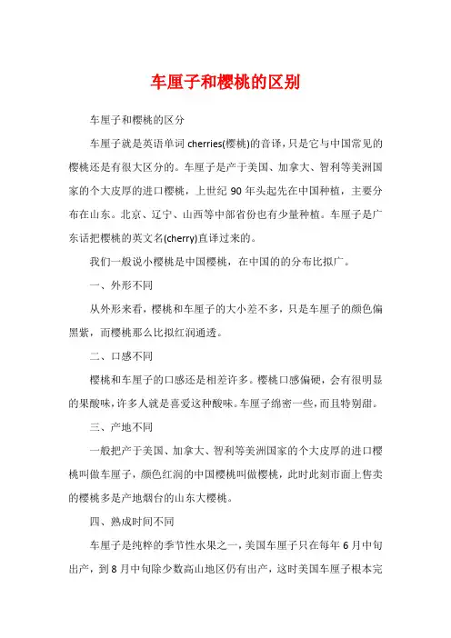 车厘子和樱桃的区别