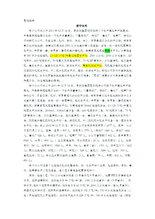 昆钢股份下各分公司概况 2