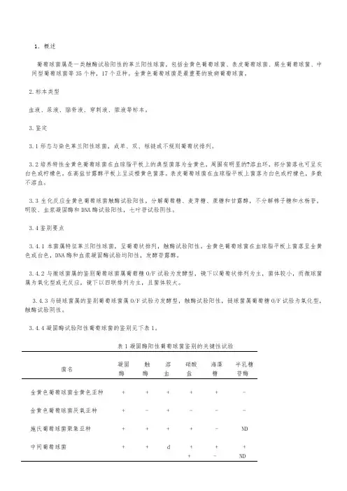 葡萄球菌属检验 2