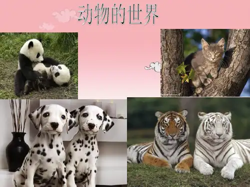 人教版2017初中七年级(上册)语文蚊子和狮子.PPT