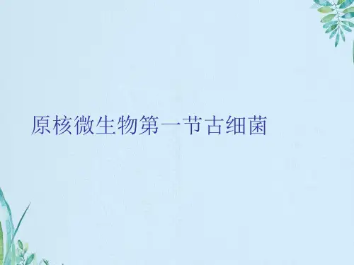 原核微生物第一节古细菌