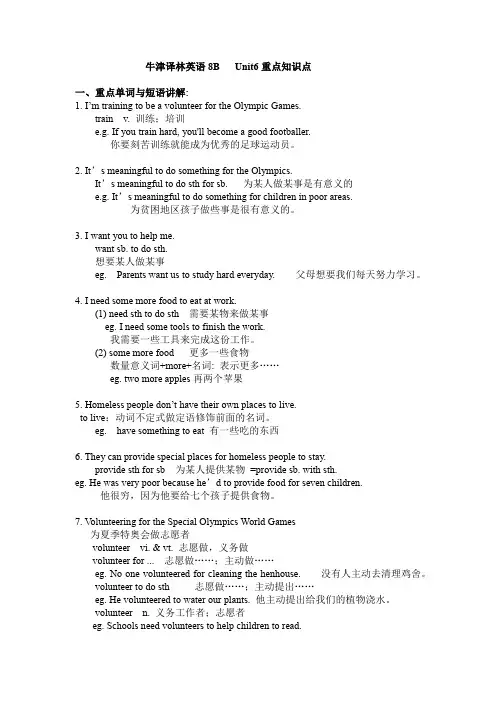牛津译林英语8B Unit6 Sunshine for all 知识点