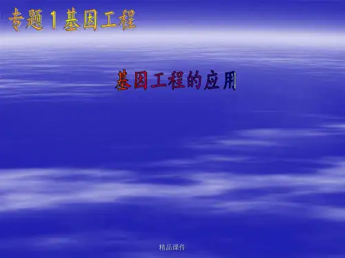 基因工程的应用