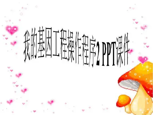 我的基因工程操作程序2 PPT课件