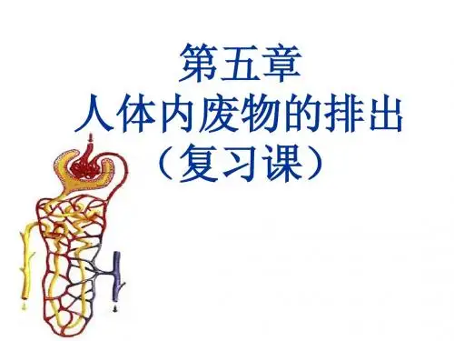 《人体内废物的排出》复习课