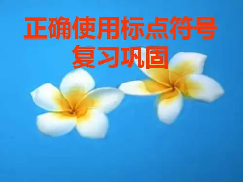[高考语文课件]高考语文正确使用标点符号复习巩固