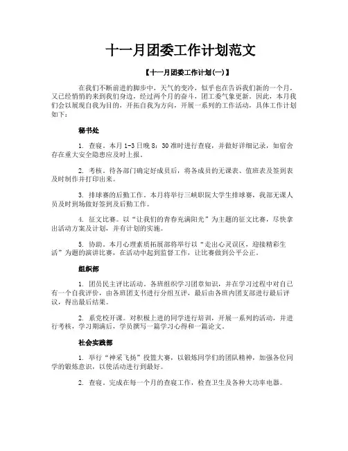 十一月团委工作计划范文