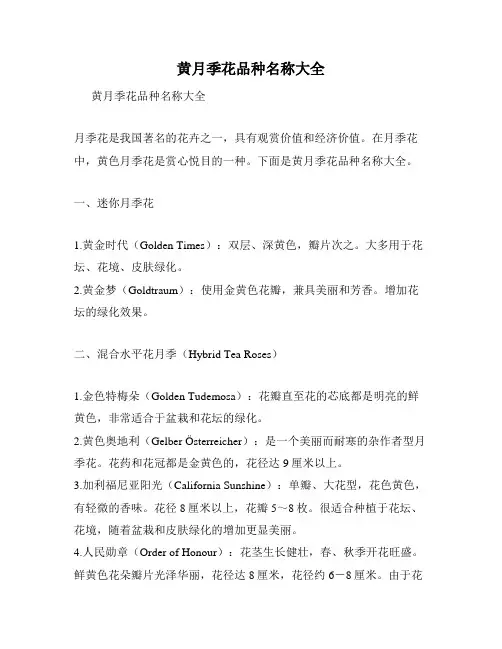 黄月季花品种名称大全