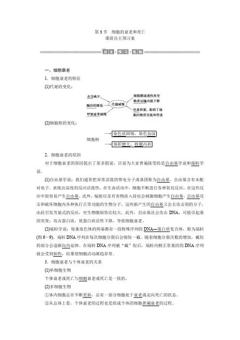 (2019新教材)高中生物人教版必修1学案：6.3 细胞的衰老和死亡 