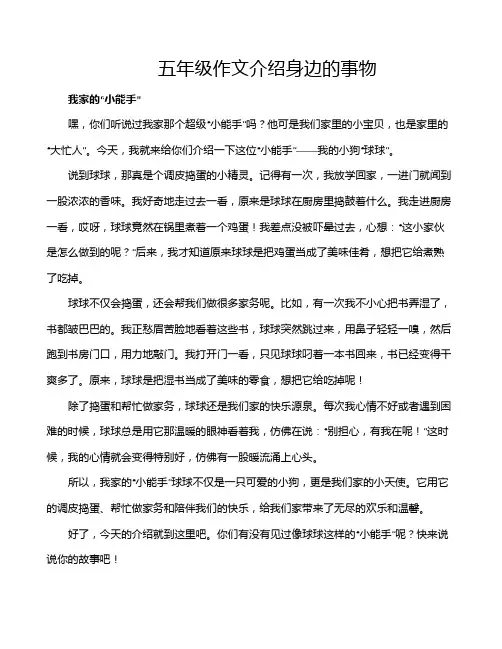 五年级作文介绍身边的事物