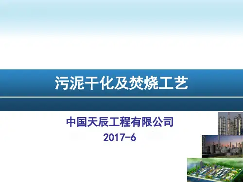污泥干化焚烧项目