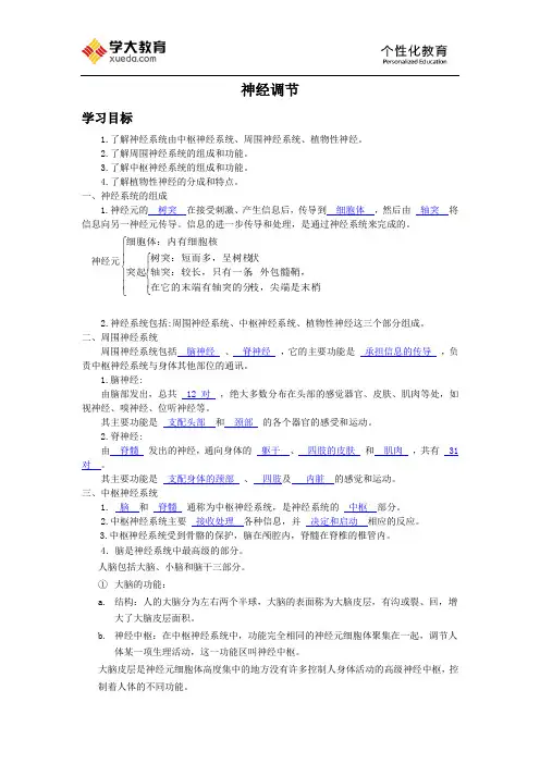神经系统 2