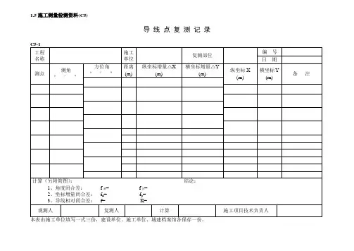 导线点复测、水准复测样表