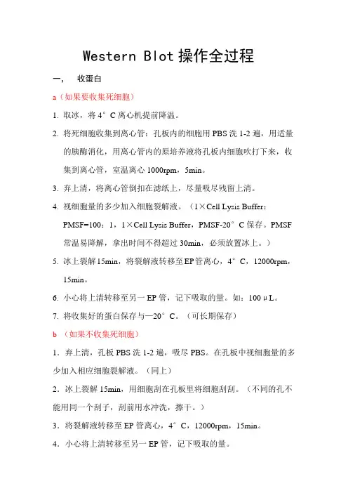 western的操作步骤