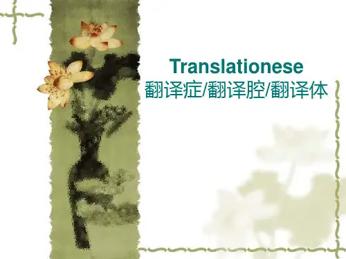 中文的翻译技巧
