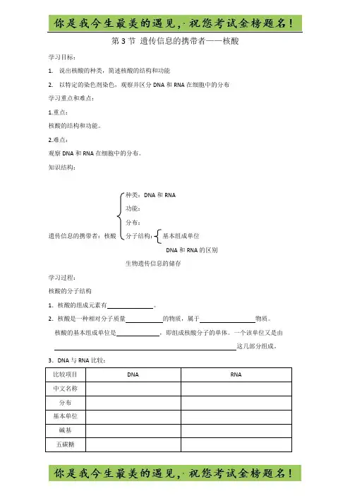 人教版高一生物必修一：2.3遗传信息的携带者——核酸 学案 