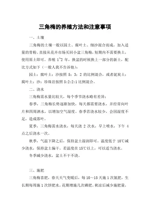 三角梅的养殖方法和注意事项