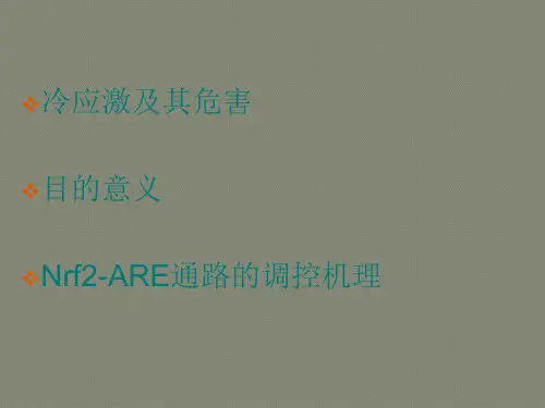 Nrf2传导通路