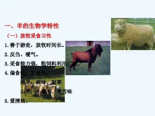 羊的生物学特性和消化特点