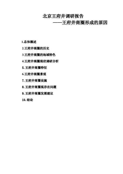 北京王府井调研报告