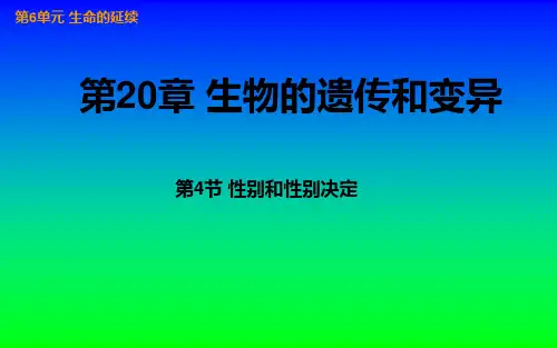 初二生物《性别和性别决定》