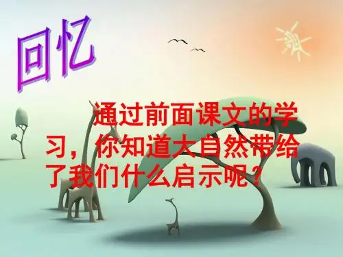 12 大自然的启示