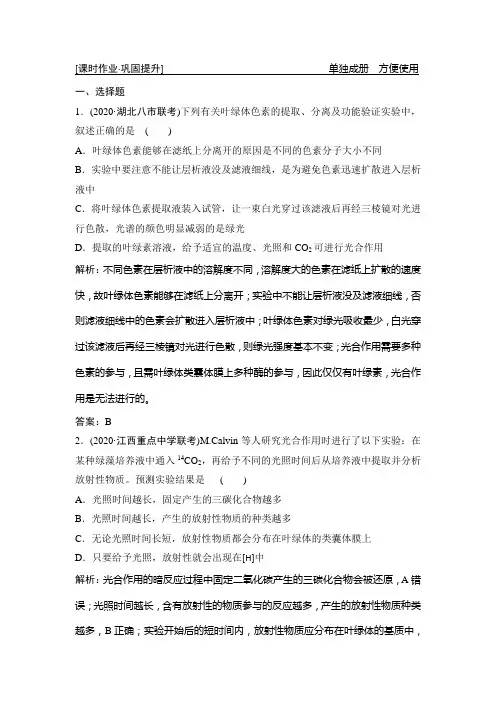 第三单元  第3讲 能量之源——光与光合作用