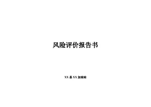 风险评价报告