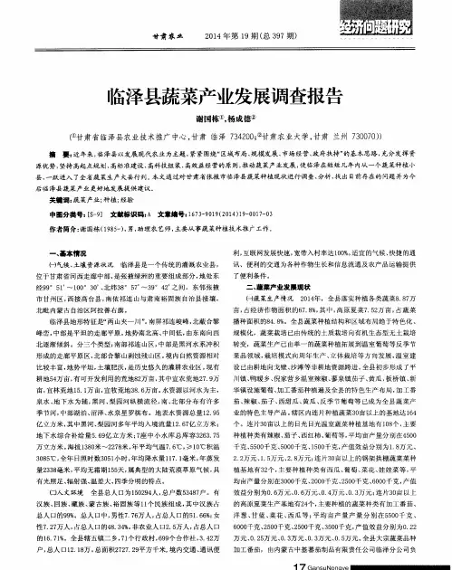 临泽县蔬菜产业发展调查报告