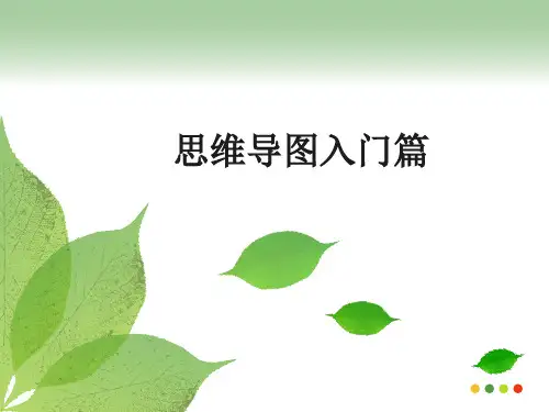 思维导图培训