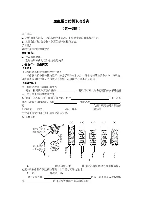 血红蛋白的提取与分离导学案