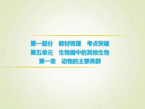 初中生物学业考试 鸟