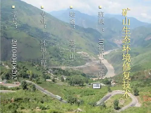 矿山生态修复技术教学教材45页PPT