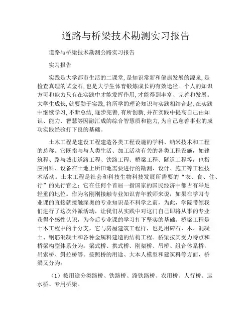 道路与桥梁技术勘测实习报告