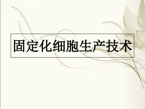 固定化细胞 PPT