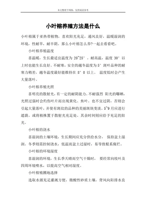 小叶榕养殖方法是什么
