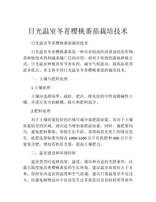 日光温室冬茬樱桃番茄栽培技术