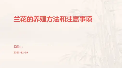 兰花的养殖方法和注意事项