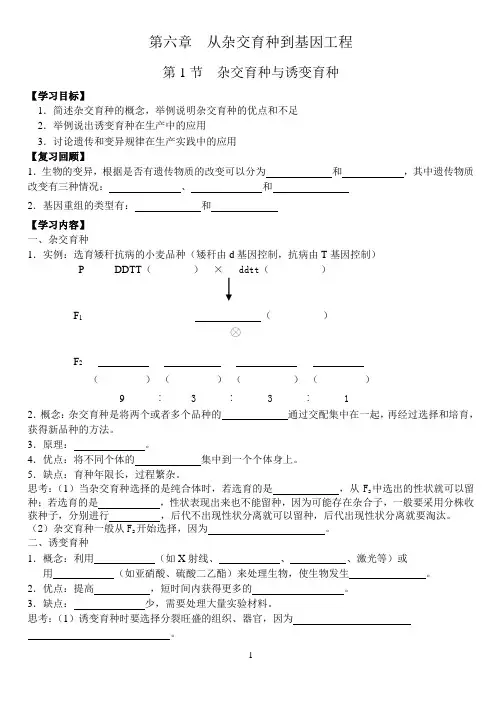 杂交育种与诱变育种