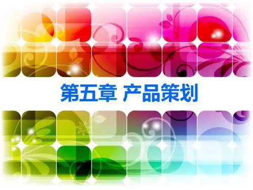 营销策划第5章简明教程PPT课件