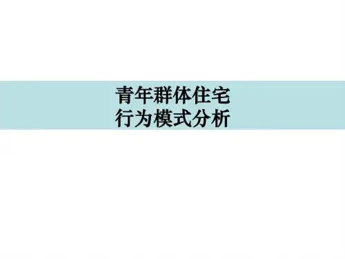 万科青年置业计划—青年群体住宅需求及行为模式专题研究