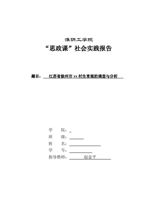 暑期社会实践生育观